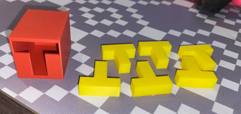 "6T's puzzle"