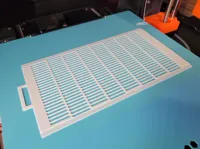 larger mesh (preferred)