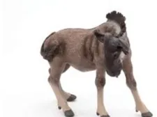 Gnu