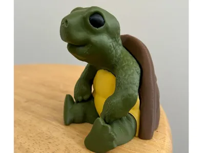 Chill Sitting Turtle