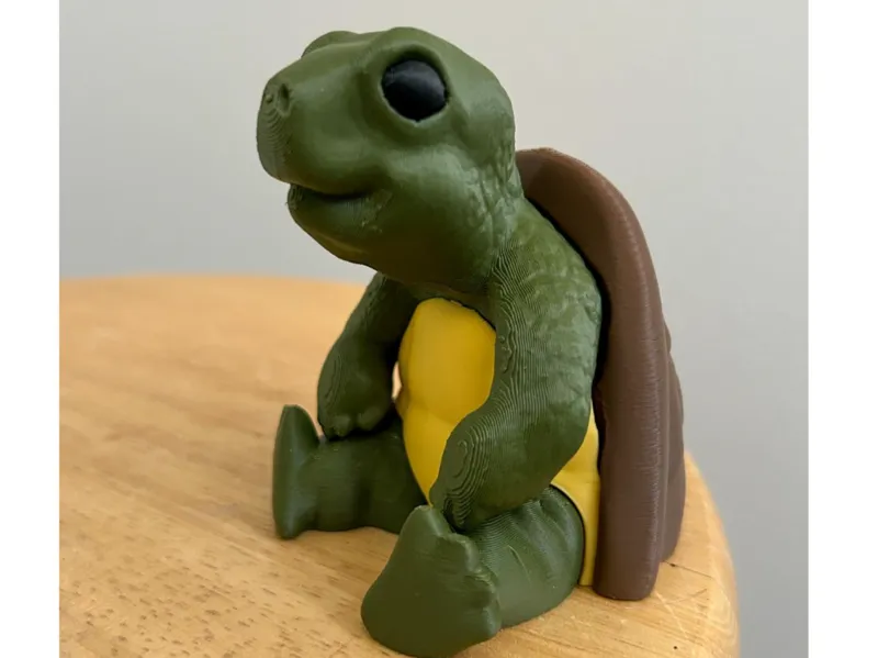 Chill Sitting Turtle