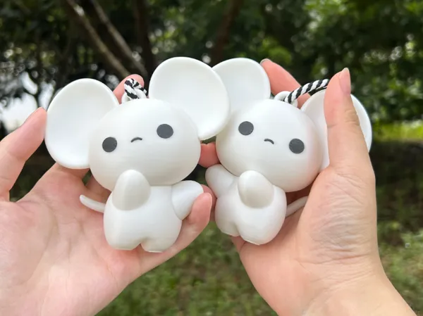 https://makerworld.bblmw.com/makerworld/model/US380a6763bf960a/design/2025-07-26_14fd4f336f31e.jpg