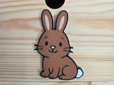 2D Bunny