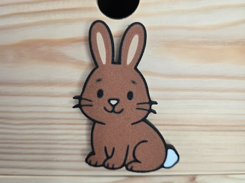 2D Bunny
