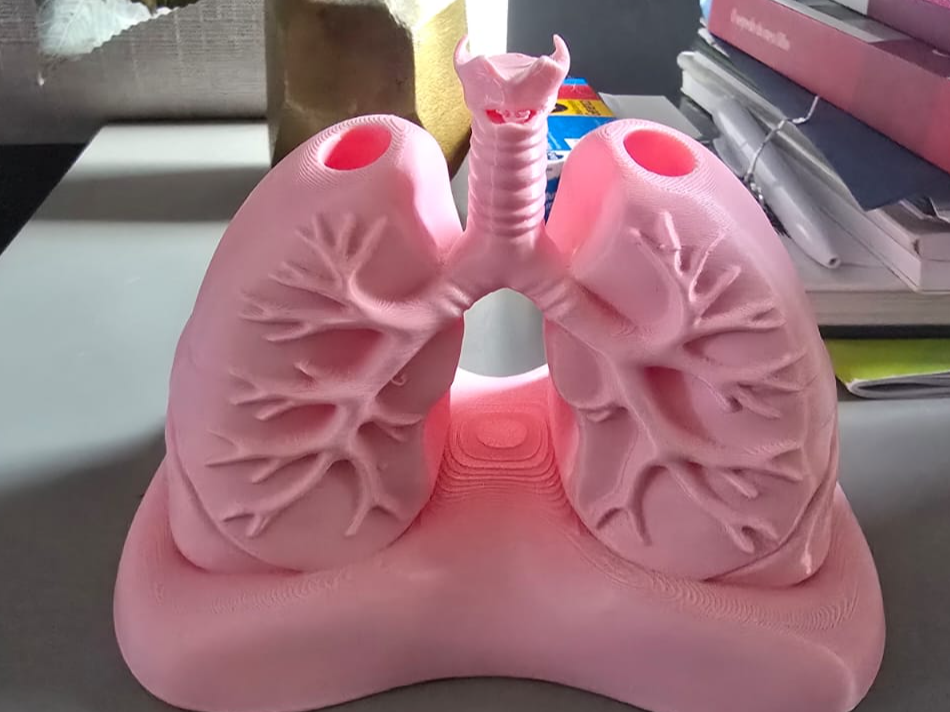Porta Canetas com formato de Sistema Respiratório