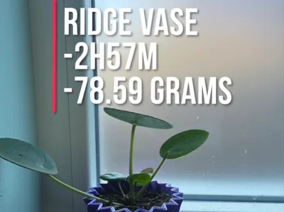 Ridge vase