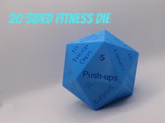 20 Sided Fitness Die