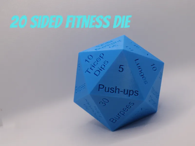20 Sided Fitness Die