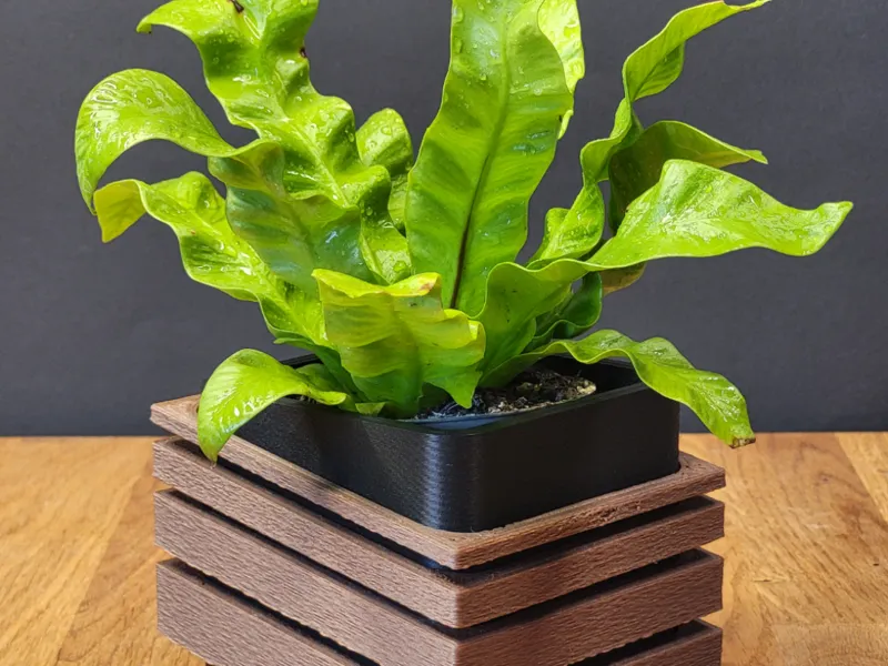 Minimalistic Pot