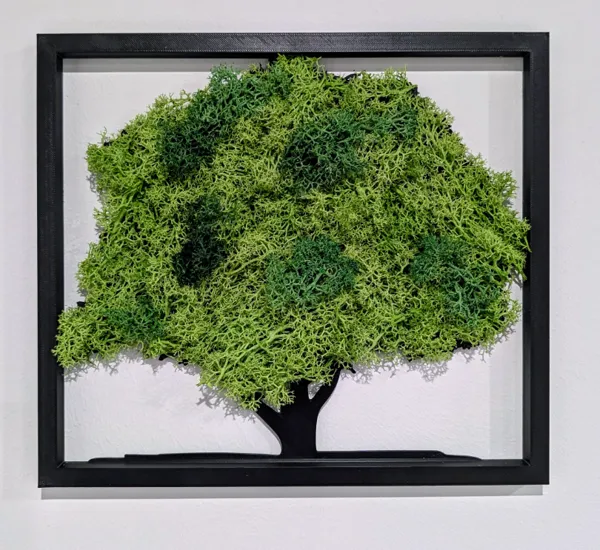 https://makerworld.bblmw.com/makerworld/model/US382ae0dbb4af7a/design/2025-01-10_22fe8f0d115f3.jpg