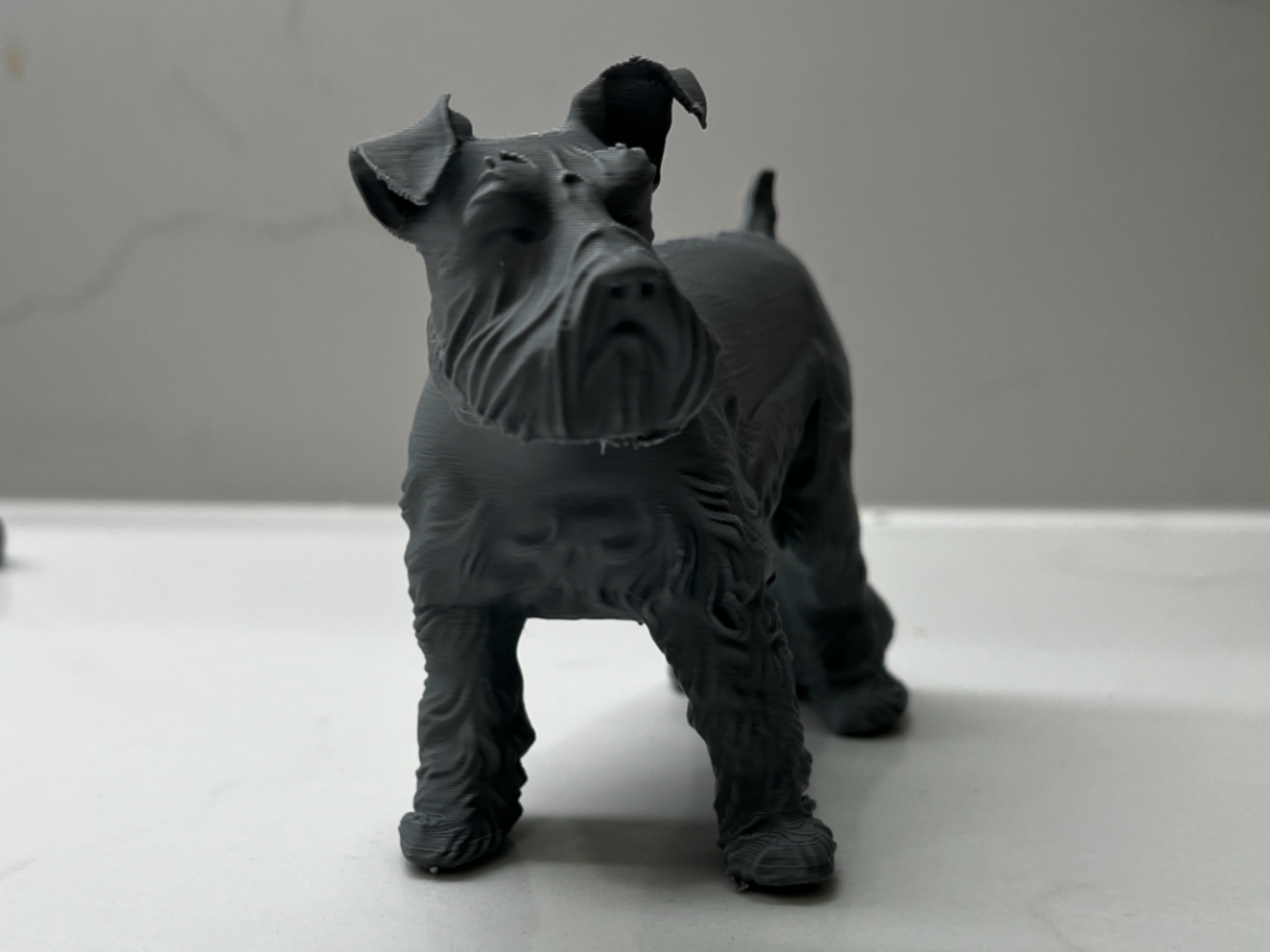 Mini-Schnauzer (A1-Mini)
