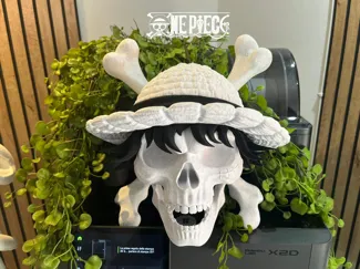 Jolly Roger Luffy - ONE PIECE