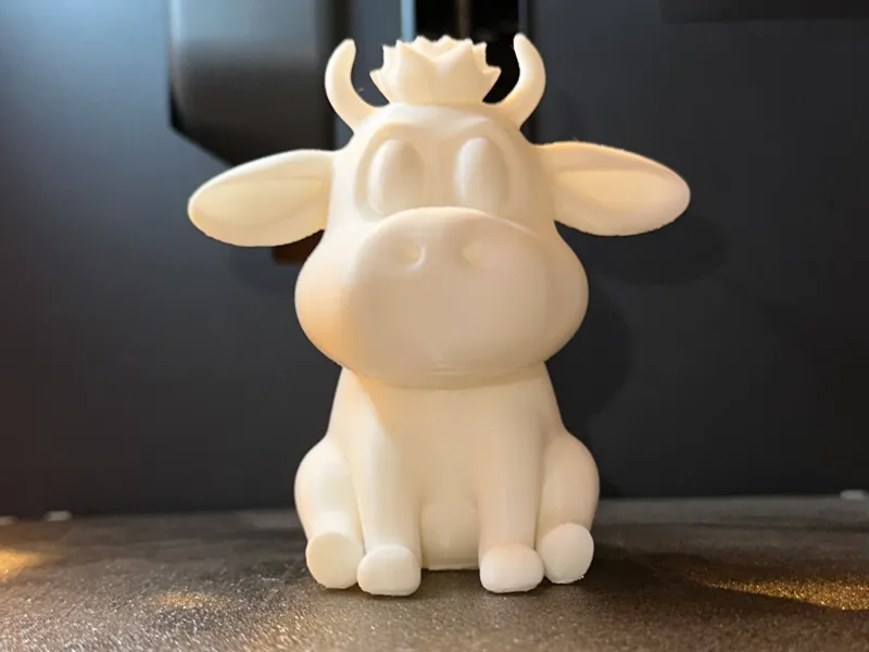 Cute cow