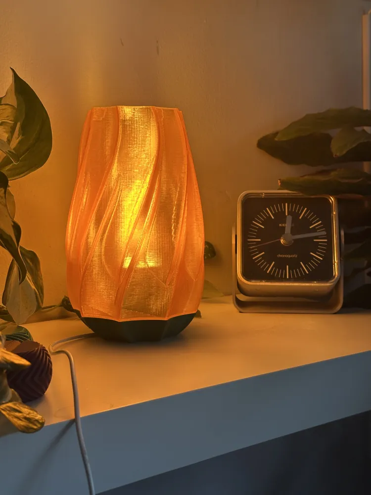Modern Lamp. Organic Flowing Design with diffuser - Free 3D Print Model ...