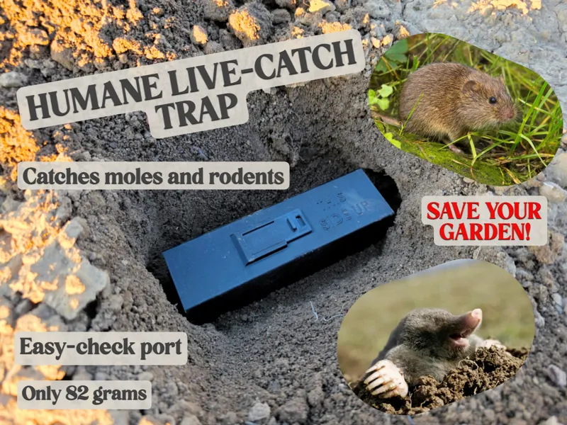 Humane Rodent Trap Catch Voles & Moles Alive