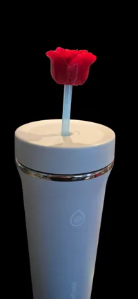 Standard Straw and other sizes