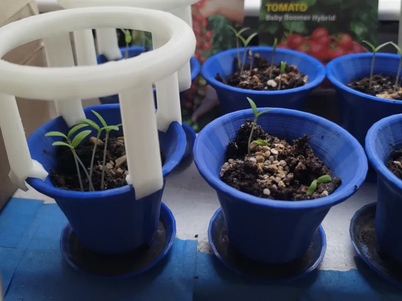plant starter cup
