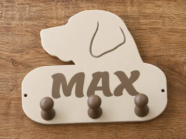 https://makerworld.bblmw.com/makerworld/model/US3837fdcb49e0d/design/71a59a1f6679f00c.png