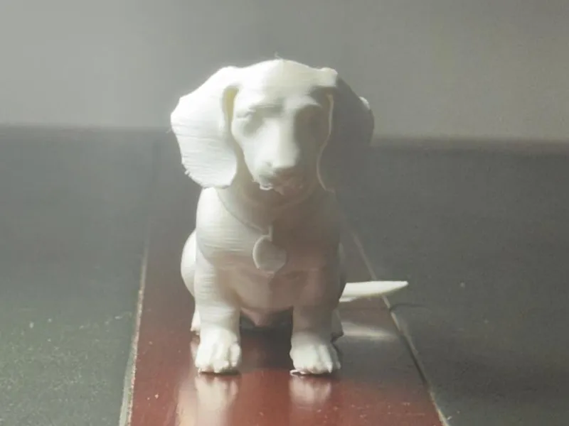 Cachoro - Salsicha 