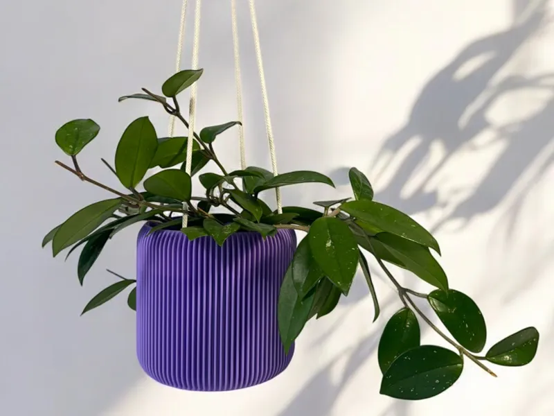 Minimalist Hanging Planter