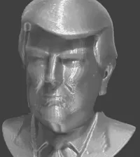 Buste de Donald Trump — photo 2