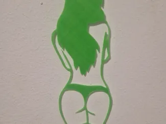 Chica lencería verde