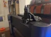 0.2mm layer, 2 walls, 10% infill