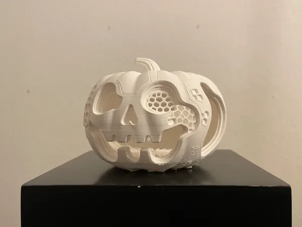 https://makerworld.bblmw.com/makerworld/model/US385047d1a07006/design/2025-10-09_823aedd9b9355.jpg