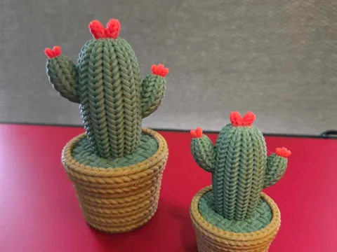 Modelo para impresión 3D: Colección Cactus — referencia de MakerWorld