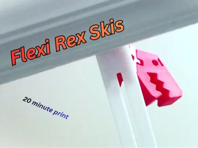 Skis for Flexi Rex
