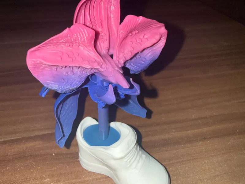 Orchidee im Nike Sneaker