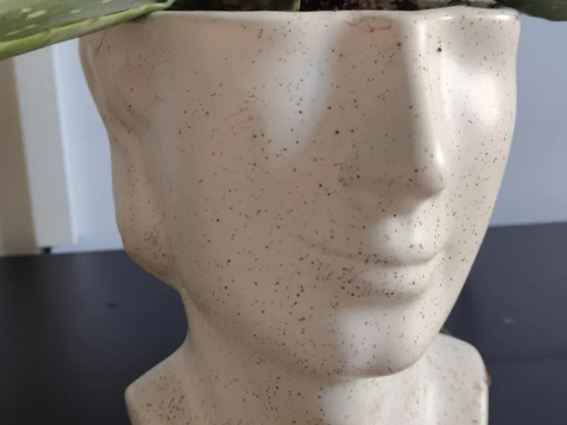 Flower Pot Face