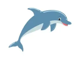 flexi dolphin