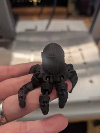 Mandopus — photo 2