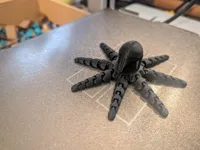 Mandopus — photo 4
