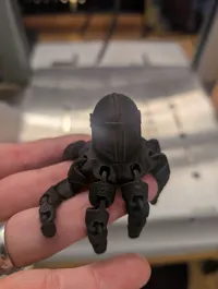 Mandopus — photo 3