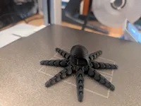 Mandopus — photo 5