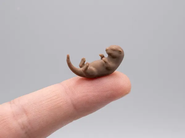 https://makerworld.bblmw.com/makerworld/model/US3861c9eff8a4f0/design/fa4f2c2c5564c817.png