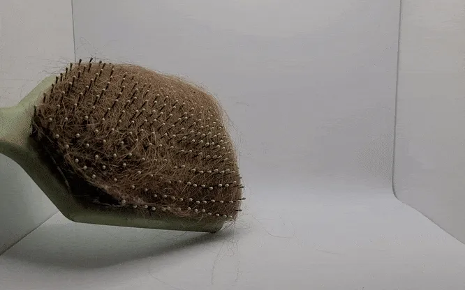 Hairbrush Cleaner view 3