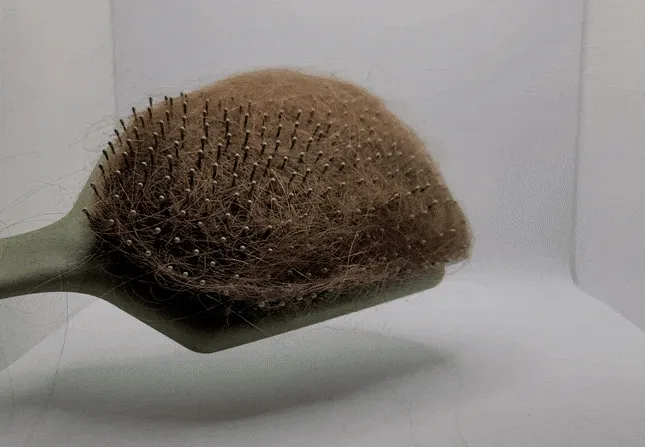 Hairbrush Cleaner view 4