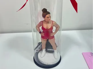 base e topo para caixa miniatura 3D com acetato