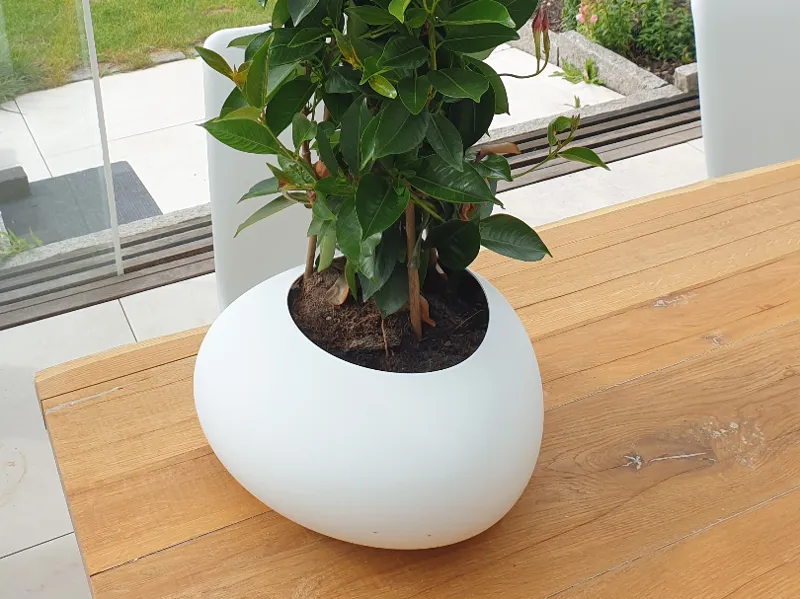 Pflanzkübel, Blumenkübel, Übertopf, IKEA - Style