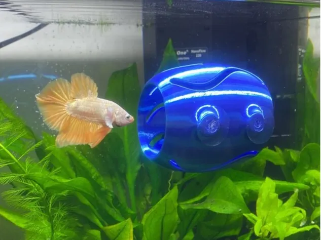 Betta fish tunnel - Suction Cup