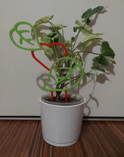 heart and leaf plantsupport