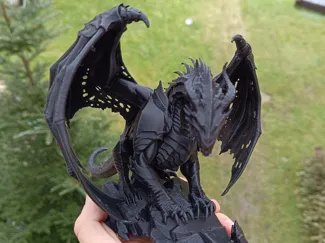 Eternal sentinel dragon