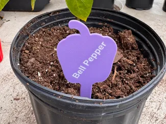 Pepper Shaped Plant Marker - Customizable Text 