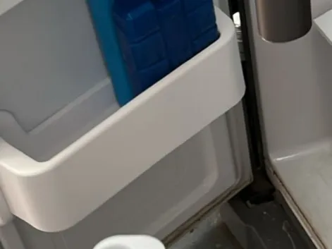 Samsung Fridge Door shelf replacement