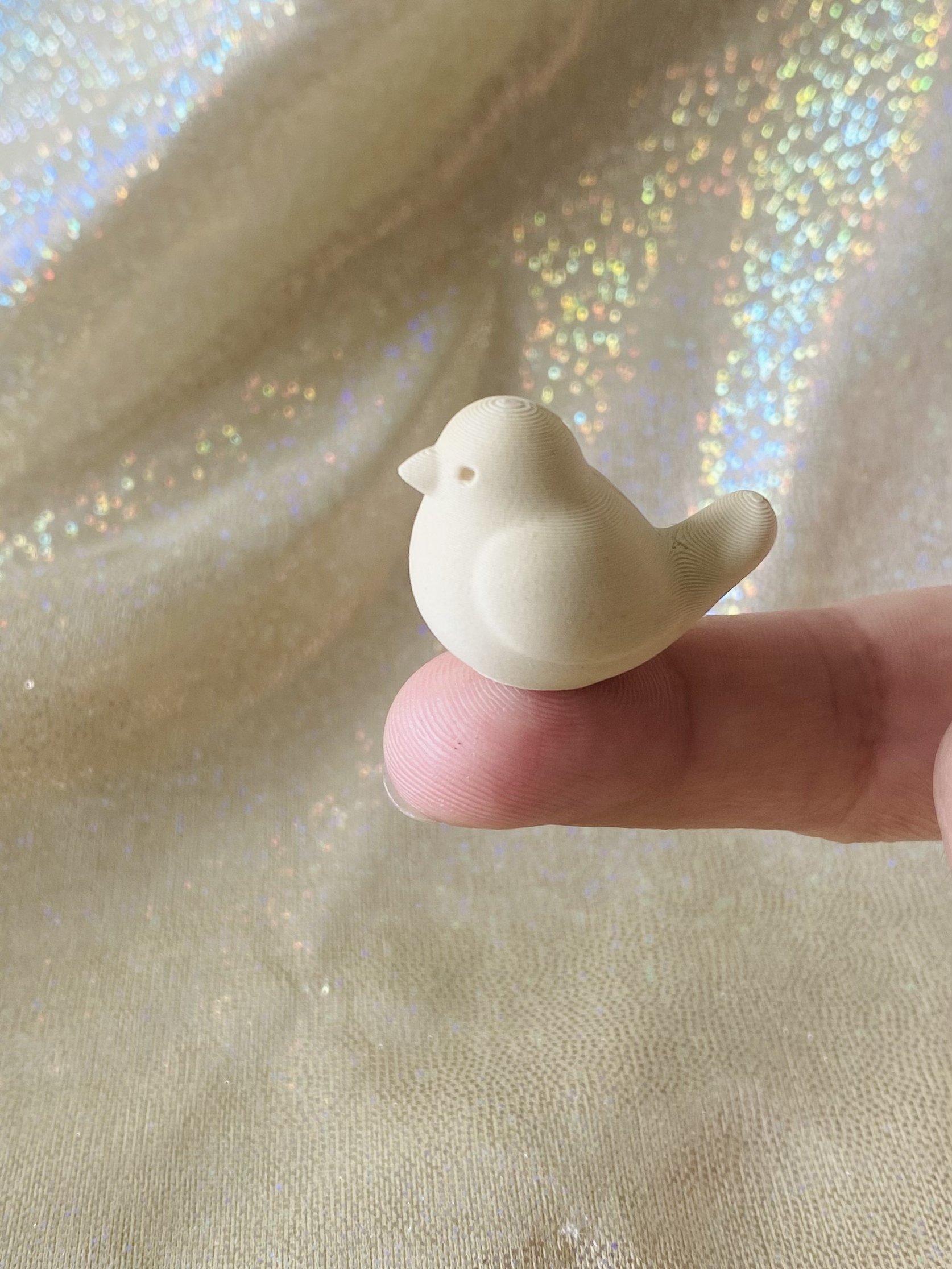 Miniatura 1 do modelo 3D 找到你的小鸟(Q_Craft)