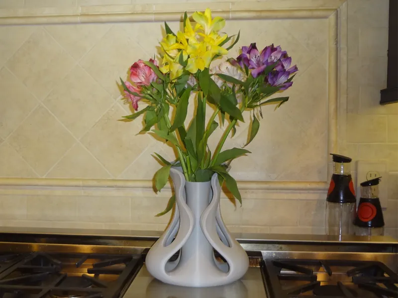 Freeform Infinity Modern Sculpted Vase -Zen Twist!