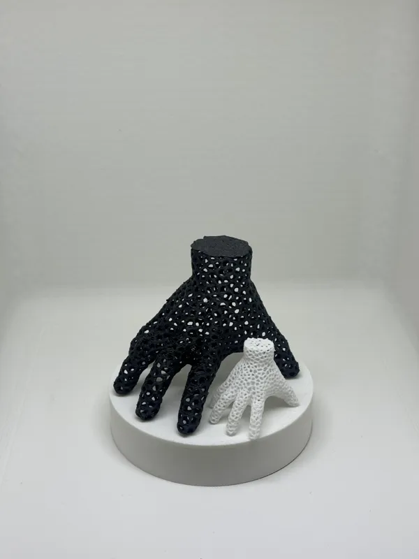 https://makerworld.bblmw.com/makerworld/model/US38937a5d7134f6/design/2024-04-01_7fbe22295ae07.jpg
